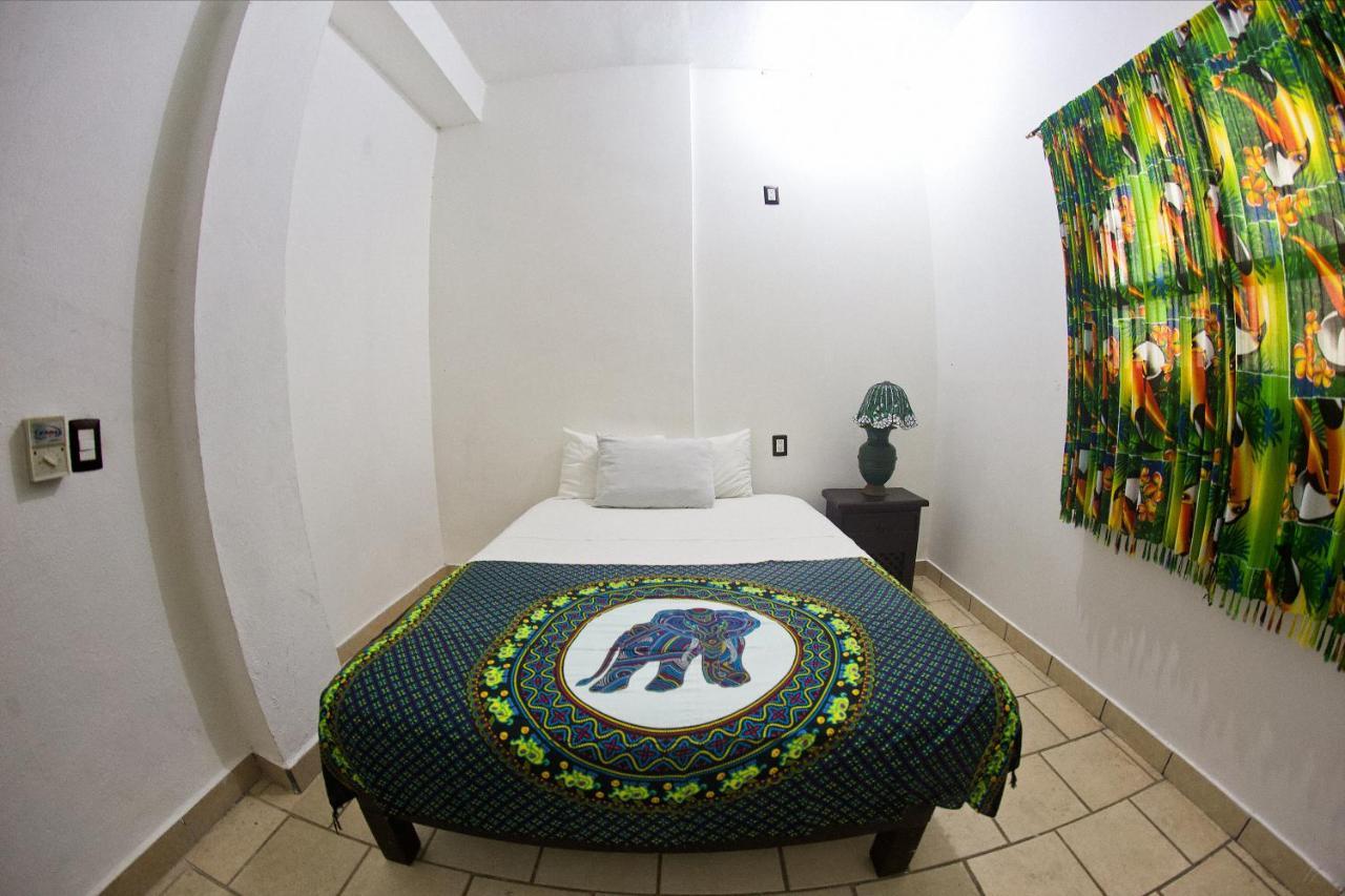 Alexandross Hostel Puerto Vallarta Værelse billede